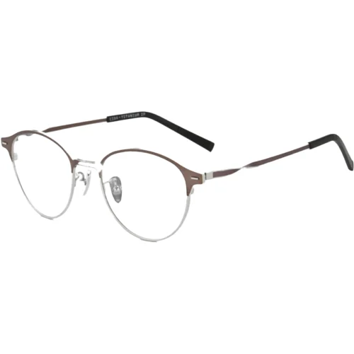 Titanium Boston frame eyewear brown titanium variant – OpteLux OSZ636