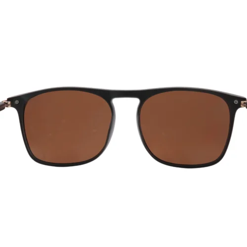 Polarized Browline Sunglasses OJO828 with brown lenses – front profile